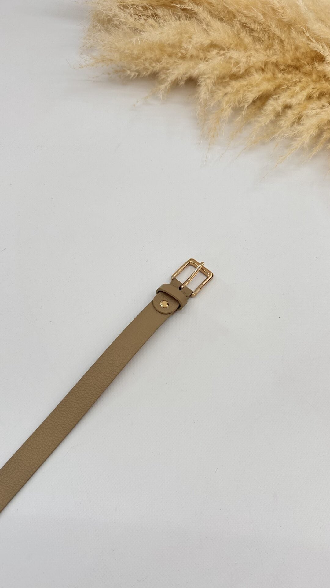 CINTURA CLASSICA TAUPE